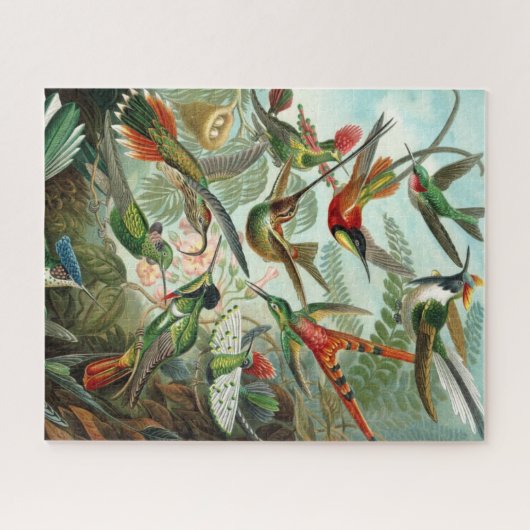 Haeckel Hummingbirds Puzzle (Horizontal)