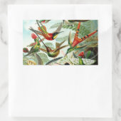 Haeckel Hummingbirds Rechteckiger Aufkleber (Tasche)