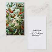 Haeckel Hummingbirds Visitenkarte (Vorne/Hinten)
