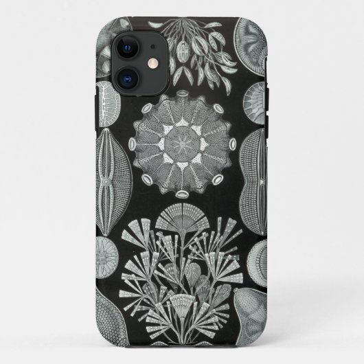 Haeckel iPhone Case - Diatomea (Rückseite)