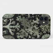 Haeckel iPhone Case - Flechten (Rückseite (Horizontal))