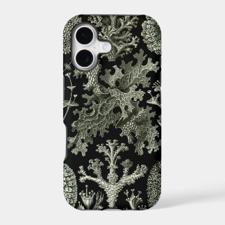 Haeckel iPhone Case - Flechten