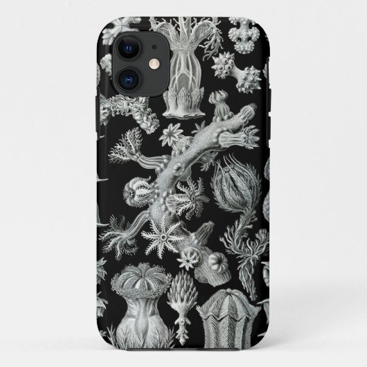 Haeckel iPhone Case - Gorgonida (Rückseite)