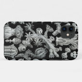 Haeckel iPhone Case - Gorgonida (Rückseite (Horizontal))