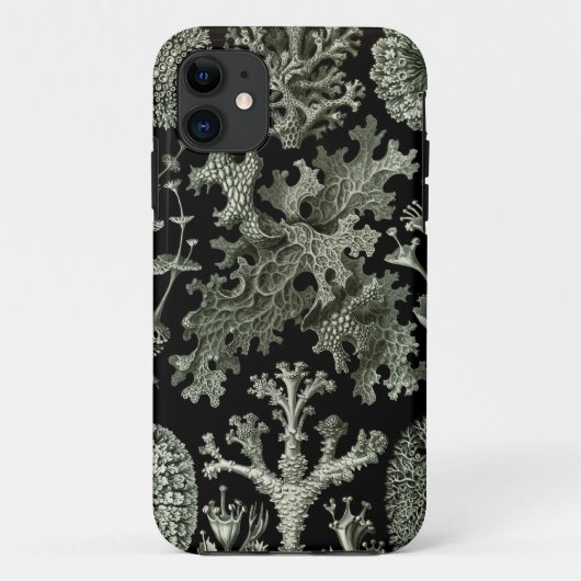 Haeckel iPhone Case - Lichenes (Rückseite)