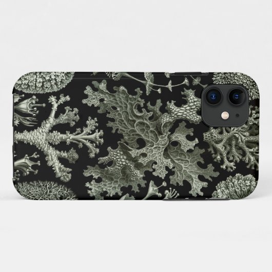 Haeckel iPhone Case - Lichenes (Rückseite (Horizontal))