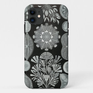 Haeckel iPhone Fall - Diatomea Case-Mate iPhone Hülle