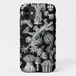 Haeckel iPhone Fall - Gorgonida Case-Mate iPhone Hülle