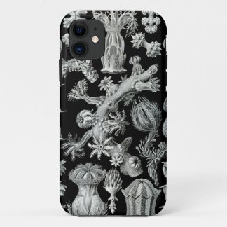 Haeckel iPhone Fall - Gorgonida Case-Mate iPhone Hülle