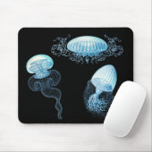 Haeckel Jellyfish Mousepad (Mit Mouse)