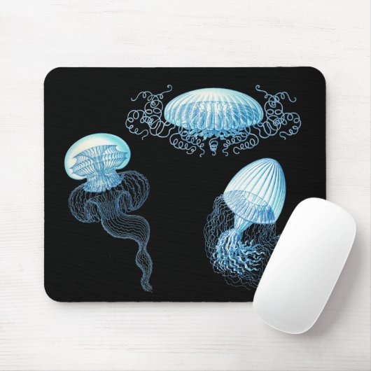 Haeckel Jellyfish Mousepad (Mit Mouse)
