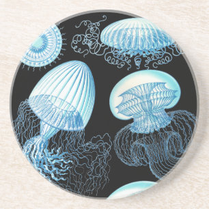 Haeckel Jellyfish Untersetzer