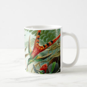 Haeckel Kolibris Kaffeetasse