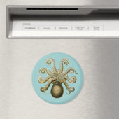 Haeckel Krake Magnet (In Situ (Geschirrspüler))