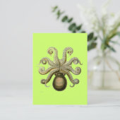 Haeckel Krake Postkarte (Stehend Vorderseite)