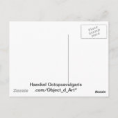 Haeckel Krake Postkarte (Rückseite)