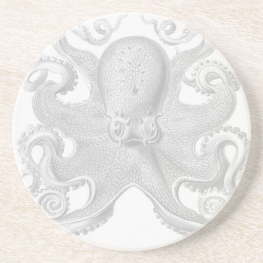 Haeckel Kraken-Untersetzer Sandstein Untersetzer (Vorne)