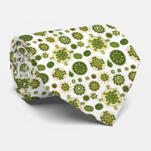 Haeckel Krawatte (Gerollt)