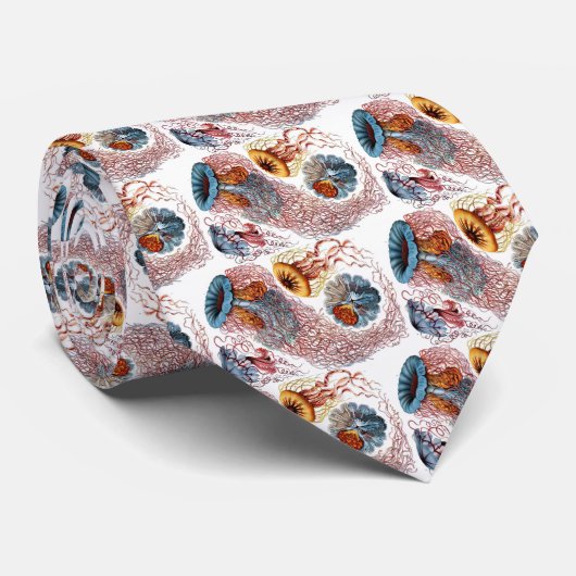 Haeckel Krawatte (Gerollt)