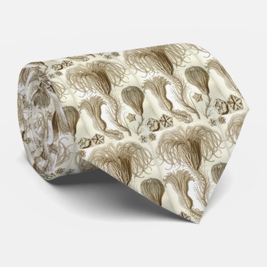 Haeckel Krawatte (Gerollt)