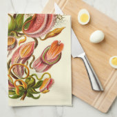 Haeckel Krug-Pflanzen-botanische Illustration Handtuch (Viertel Falte)