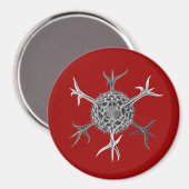 Haeckel Magnet (Vorderseite/Rückseite)