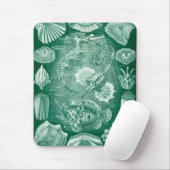 Haeckel Meerestiere Mousepad (Mit Mouse)
