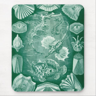 Haeckel Meerestiere Mousepad