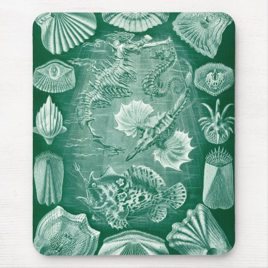 Haeckel Meerestiere Mousepad (Vorne)