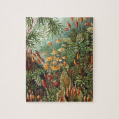 Haeckel Moss Grass Mushroom Malerei Puzzle (Vertikal)