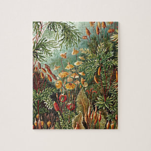 Haeckel Moss Grass Mushroom Malerei Puzzle
