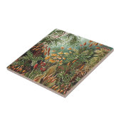 Haeckel Moss-, Grass- und Pilzgemälde Fliese (Seite)