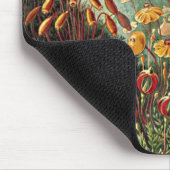 Haeckel Moss-, Grass- und Pilzgemälde Mousepad (Ecke)