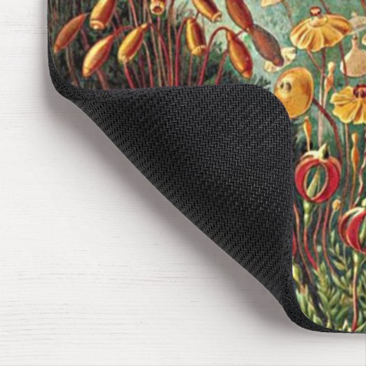 Haeckel Moss-, Grass- und Pilzgemälde Mousepad (Ecke)