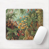 Haeckel Moss-, Grass- und Pilzgemälde Mousepad (Mit Mouse)