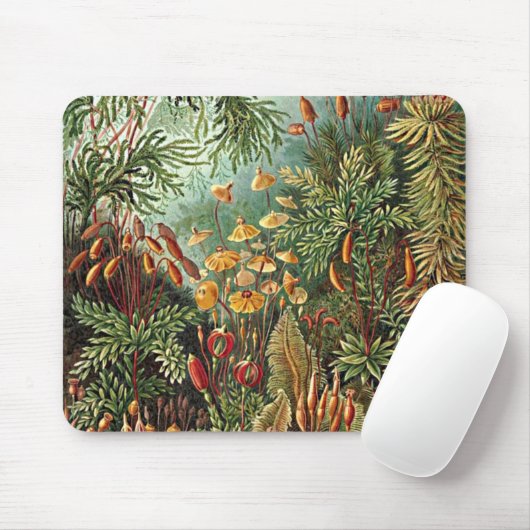 Haeckel Moss-, Grass- und Pilzgemälde Mousepad (Mit Mouse)