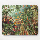 Haeckel Moss-, Grass- und Pilzgemälde Mousepad (Vorne)
