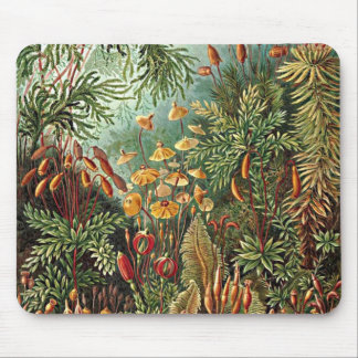 Haeckel Moss-, Grass- und Pilzgemälde Mousepad