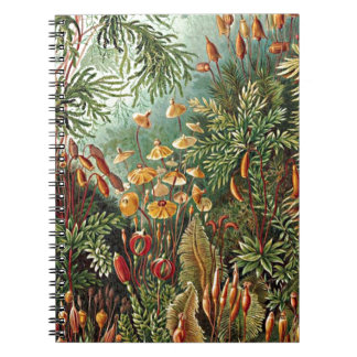 Haeckel Moss-, Grass- und Pilzgemälde Notizblock
