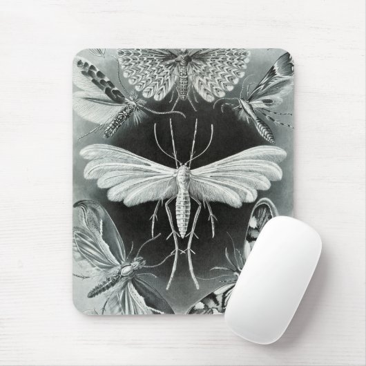 Haeckel Moths Mousepad (Mit Mouse)