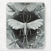 Haeckel Moths Mousepad (Vorne)