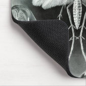 Haeckel-Motten Mousepad (Ecke)
