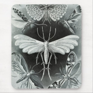 Haeckel-Motten Mousepad