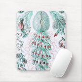Haeckel Mousepad (Mit Mouse)