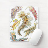 Haeckel Mousepad (Mit Mouse)