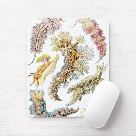 Haeckel Mousepad (Mit Mouse)