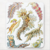 Haeckel Mousepad (Vorne)