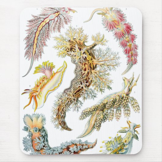 Haeckel Mousepad (Vorne)