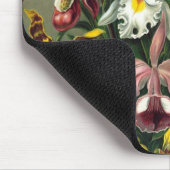 Haeckel Mousepad (Ecke)