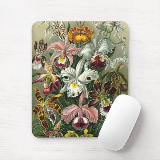 Haeckel Mousepad (Mit Mouse)
